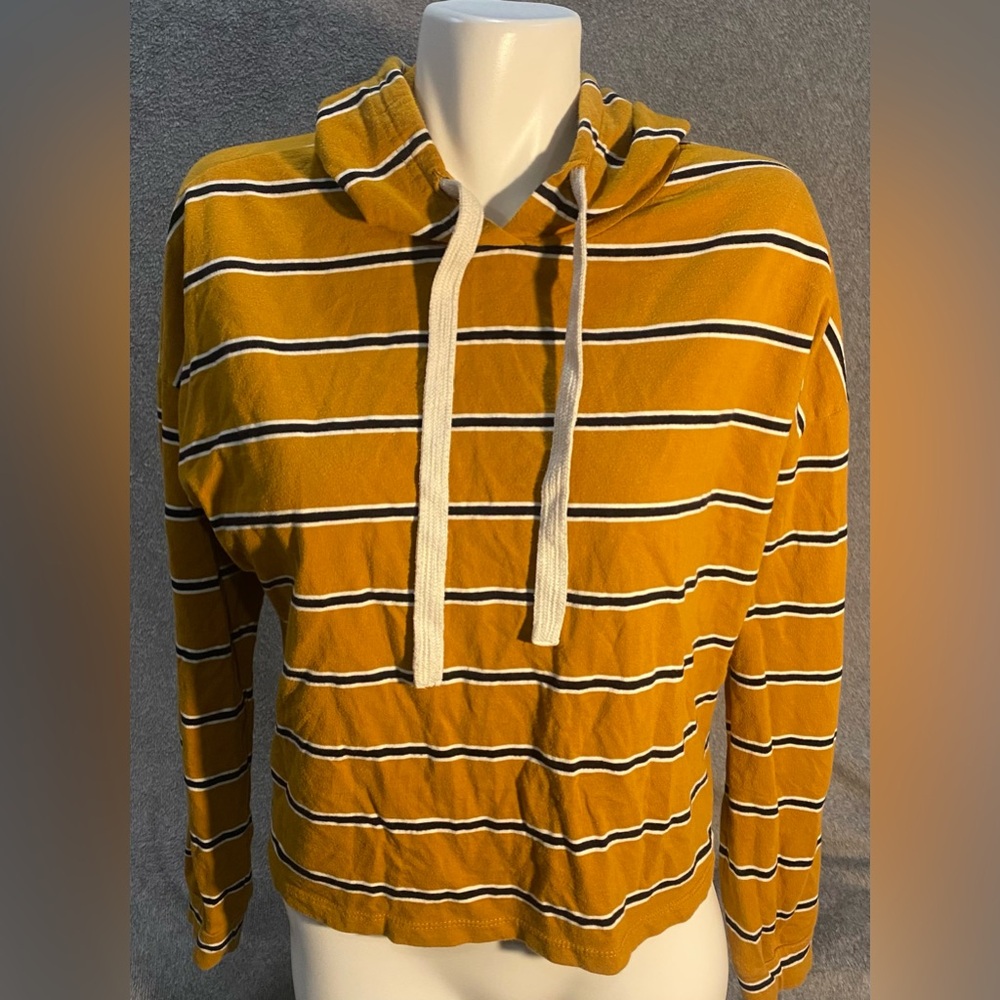 “Juicy Gossip” Hooded, Long Sleeve Crop Top
Size Small